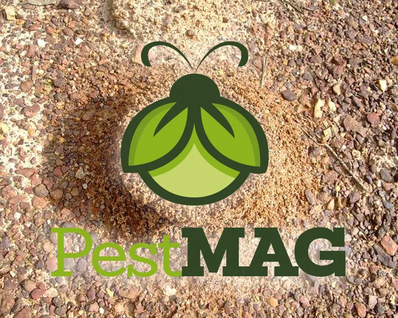 PestMAG