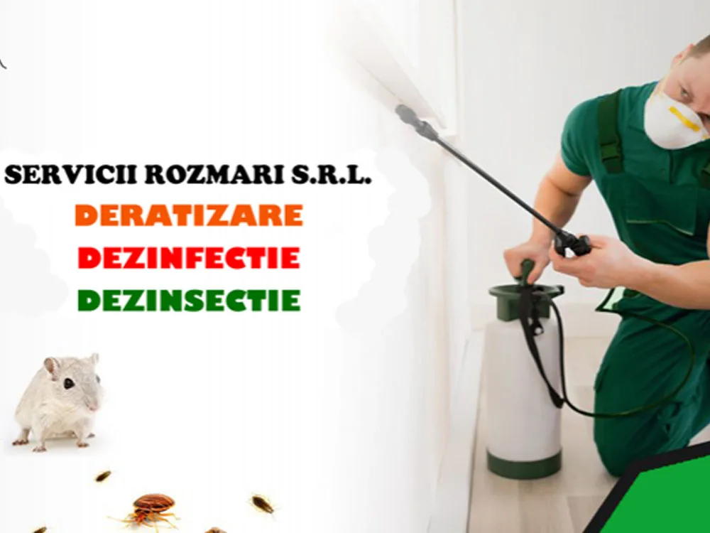 Servicii Rozmari S.R.L.