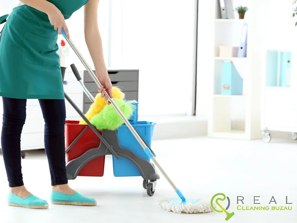 Real Cleaning Buzău